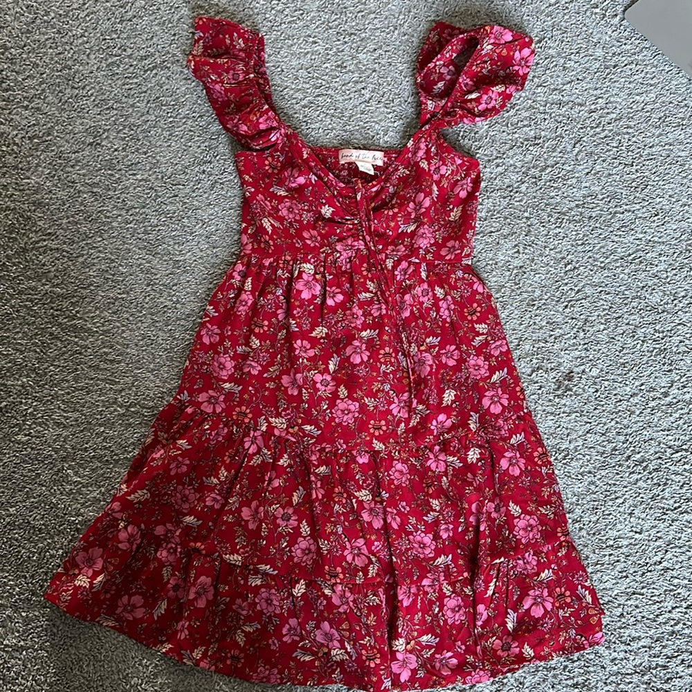 Land of the free mini dress